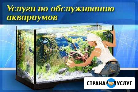 Чистка аквариумов Москва и Московская обл Сергиев Посад - изображение 1