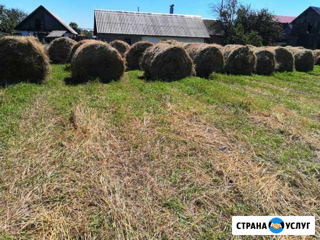 Продажа тюков Товарковский - изображение 1