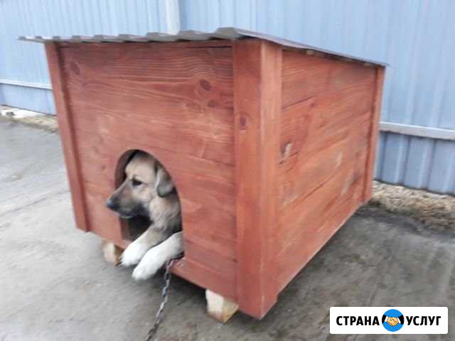 Будка для собак Набережные Челны - изображение 1