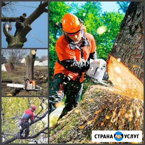 Расчистка участка под ключ.Покос.Спил.Вывоз мусора Засечное - изображение 1
