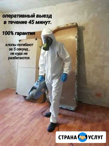 Уничтожение насекомых: тараканов, клопов в Южноура Южноуральск - изображение 1