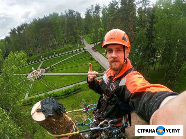 Удаление деревьев,обрезка;дробление пней в Иваново Иваново - изображение 1