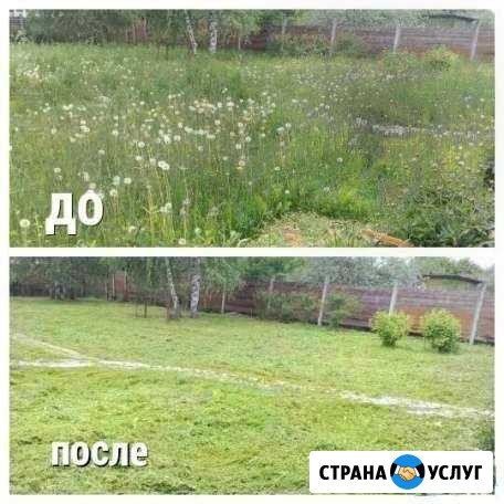 Покос травы спил деревьев Ессентуки - изображение 1