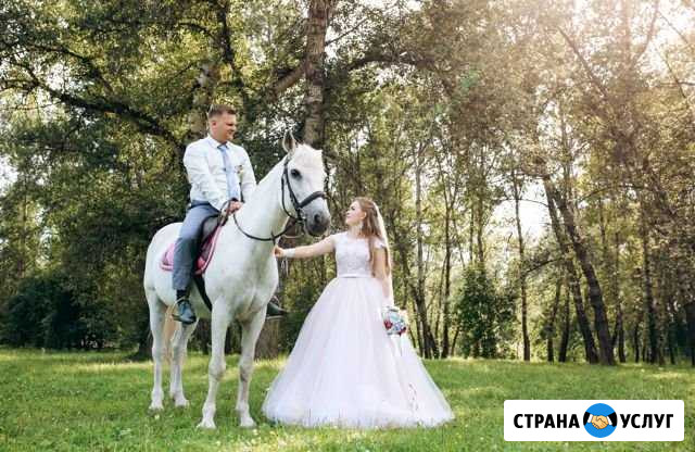 Фотограф (свадебный, семейный) Абакан - изображение 1
