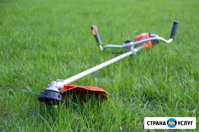 Покос травы триммером Магнитогорск - изображение 1