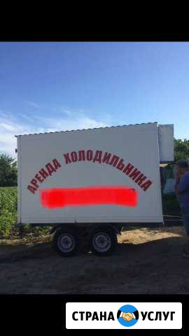 Прокат холодильника посуточно Черкесск - изображение 1