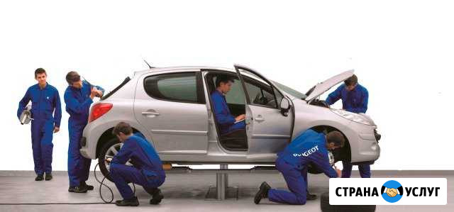Диагностика Citroen и Peugeot в Волгограде Волгоград - изображение 1