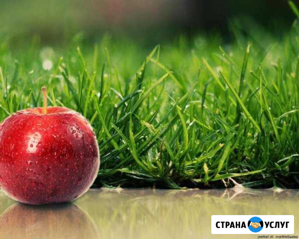 Окашивание и расчистка участков Думиничи - изображение 1
