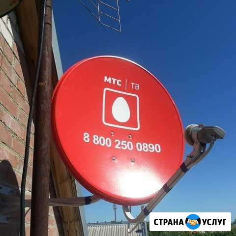 Спутниковое телевидение МТС Плешаново - изображение 1