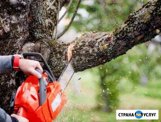 Спил деревьев, выкорчевка,обрезка, и вывоз мусора Таганрог