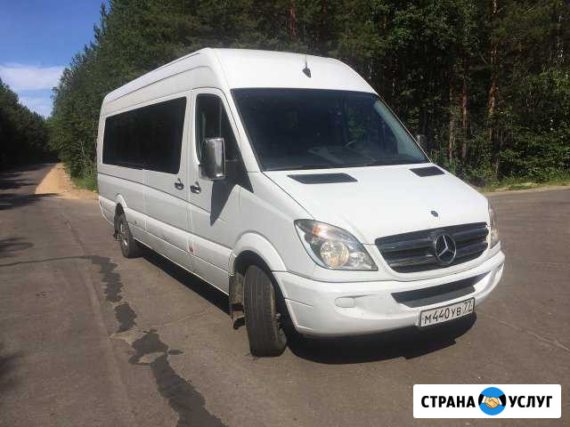 Заказ автобусов, заказ автобуса, аренда автобусов Архангельск - изображение 1