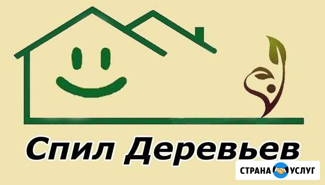 Спил деревьев,покос,опрыскивание Астрахань - изображение 1