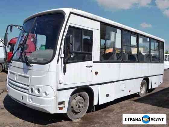 Аренда автобуса Паз 25 мест Краснодар