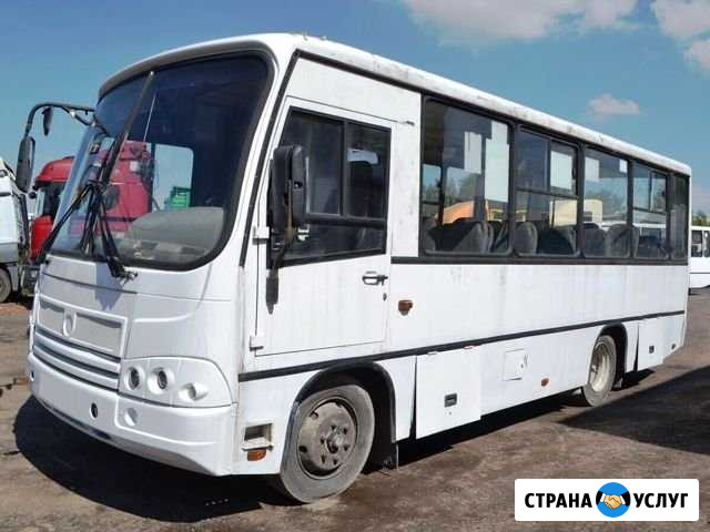 Аренда автобуса Паз 25 мест Краснодар - изображение 1