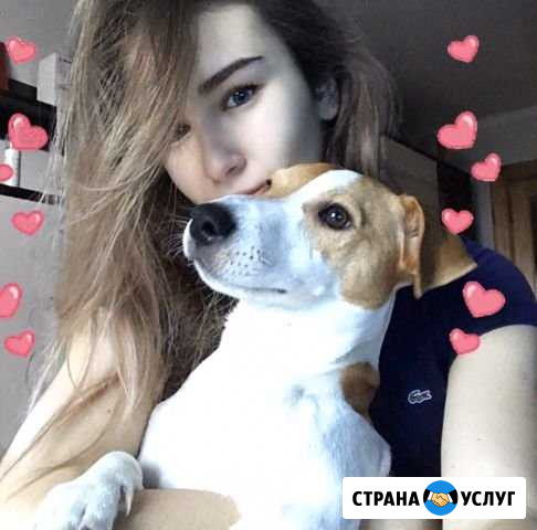 Передержка собак Брянск - изображение 1