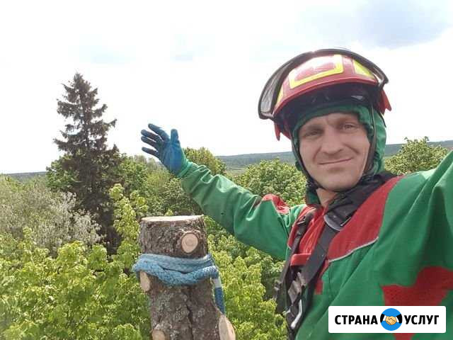 Спил деревьев любой сложности. Спил на кладбище Сафоново - изображение 1