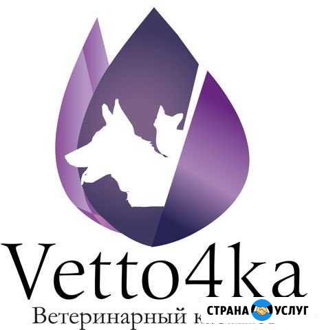 Ветеринарные услуги Сергиев Посад - изображение 1