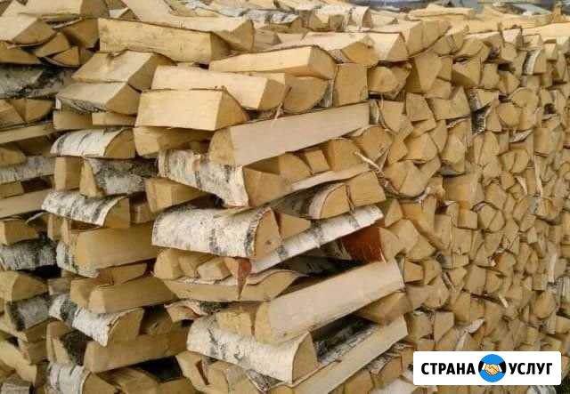 Дрова с доставкой Котлас - изображение 1