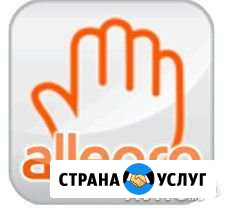 Поиск доставка товаров с польского сайта allegro Калининград - изображение 1