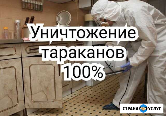 Уничтожение тараканов Уфа - изображение 1
