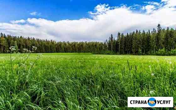 Нужно скосить траву 200 соток Стерлитамак