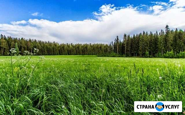 Нужно скосить траву 200 соток Стерлитамак - изображение 1
