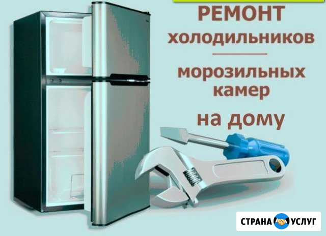 Ремонт холодильников на дому Белокуриха - изображение 1