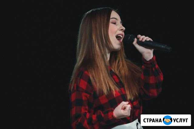 Педагог по вокалу Владимир - изображение 1