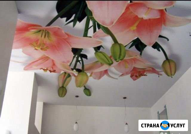 Натяжные потолки 48 потолкофф Лебедянь - изображение 1