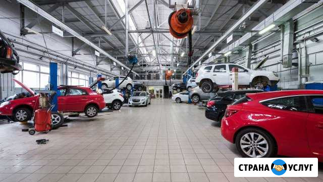 Кузовной ремонт легковых автомобилей и грузовиков Железногорск - изображение 1