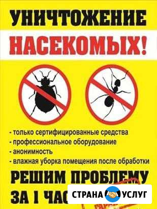 Уничтожение тараканов, блох, муравьёв, клопов Юрга - изображение 1