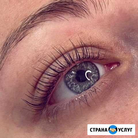 Окрашивание бровей хной/краской, ламинирование рес Одинцово - изображение 1