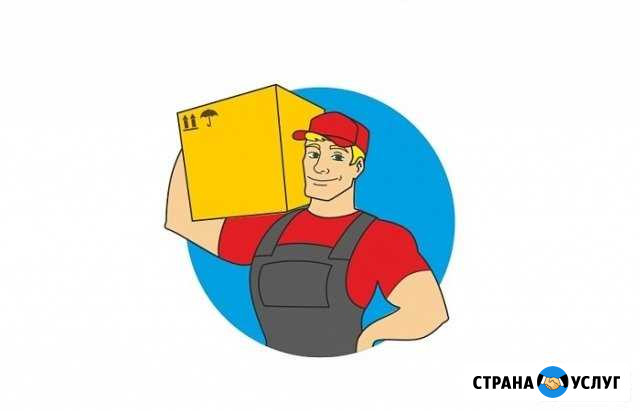 Грузчики Донской - изображение 1