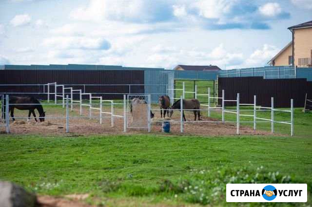 Денники в аренду Солнечногорск - изображение 1