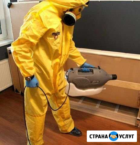 Уничтожение тараканов, клопов. Дезинфекция Самара - изображение 1