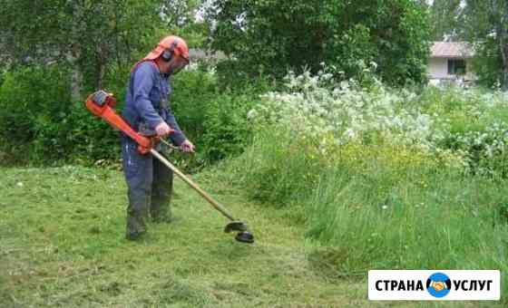 Покос Травы Кустов Борщевика Сыктывкар