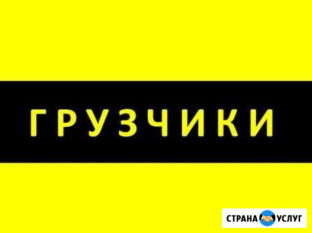 Грузчики Сочи Адлер Сочи - изображение 1