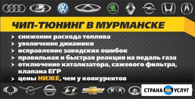 Чип-тюнинг в Мурманске Мурманск - изображение 1