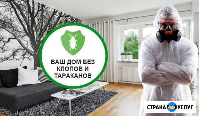 Обработка от клопов тараканов Мичуринск - изображение 1