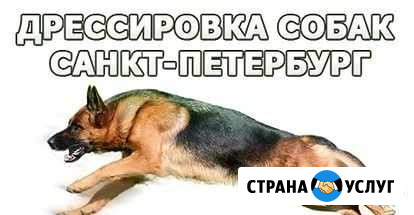 Дрессировка собак,передержка собак-зоогостиница Санкт-Петербург - изображение 1