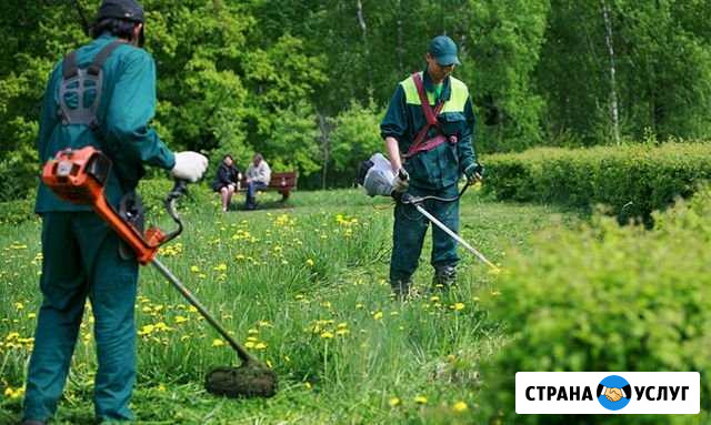 Расчистка участка Новороссийск - изображение 1