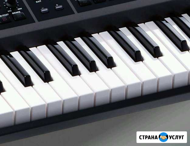 Ремонт клавишных Екатеринбург - изображение 1