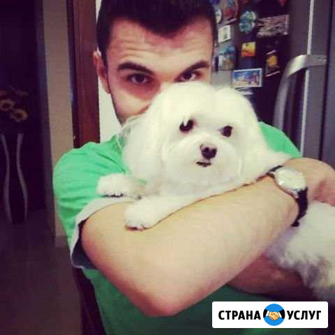 Ремонт Холодильников Ремонт Сушильных Машин Москва - изображение 1