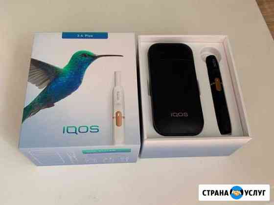 Ремонт iqos 2.4 Plus Санкт-Петербург