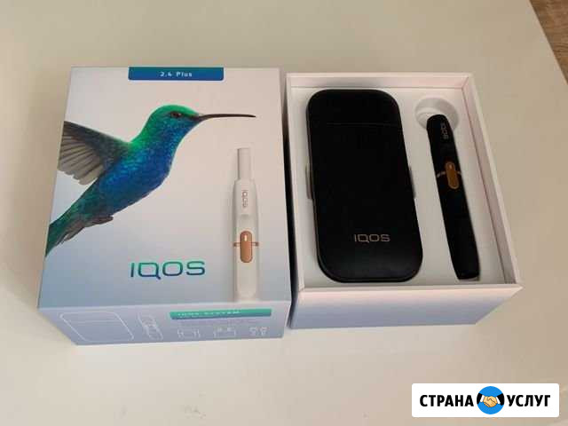 Ремонт iqos 2.4 Plus Санкт-Петербург - изображение 1