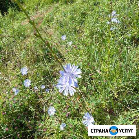 Слушатель,подруга,психолог Ижевск