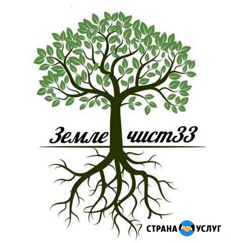 Спил и удаление деревьев Покос травыРасчистка уч-к Киржач - изображение 1