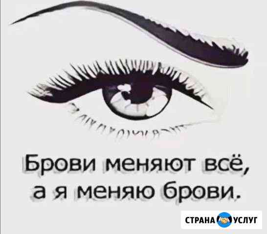 Бровист Норильск