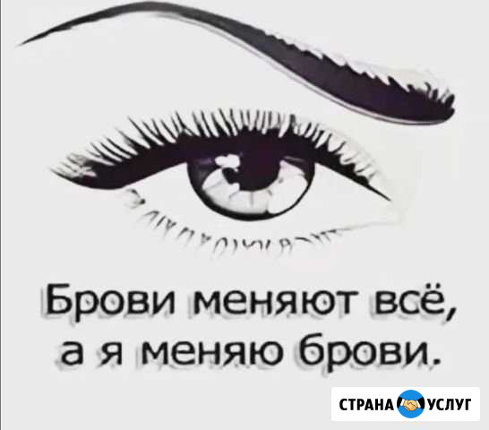 Бровист Норильск - изображение 1