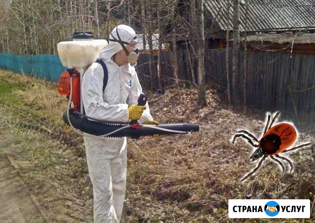 Дезинсекция. Уничтожение клещей комаров блох мурав Пустошка - изображение 1